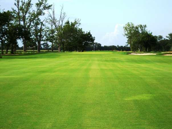Links on the Bayou - photo 3