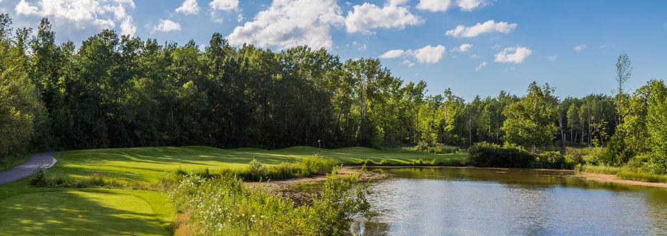 Cranberry Golf Course - photo 8