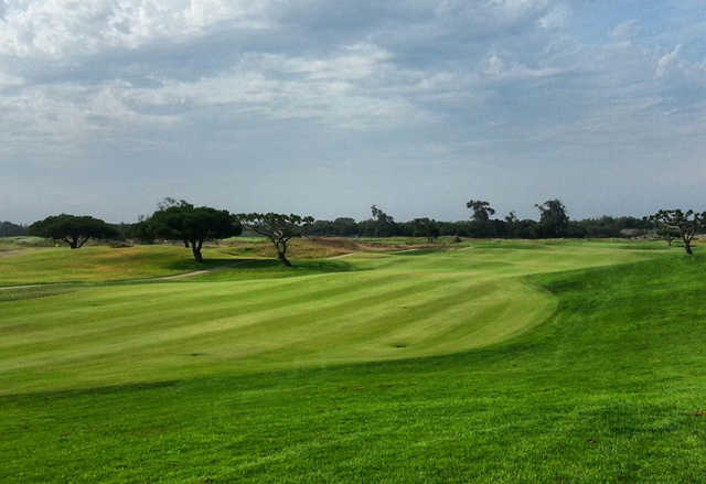 Olivas Links - photo 2