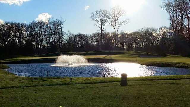 The Shore Club - photo 7
