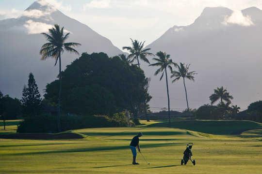 Maui Country Club - photo 4