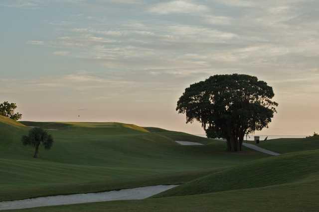 Port Royal Golf Club - photo 6
