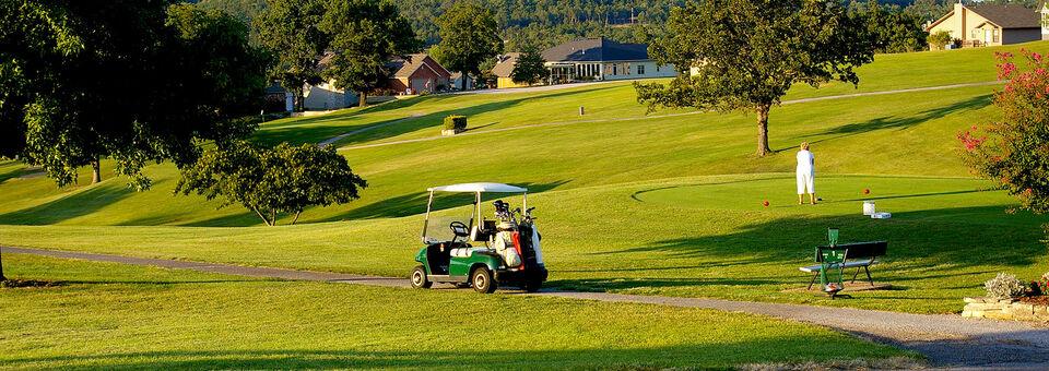 Holiday Island Country Club - photo 5