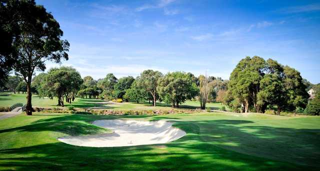 Box Hill Golf Club - photo 2