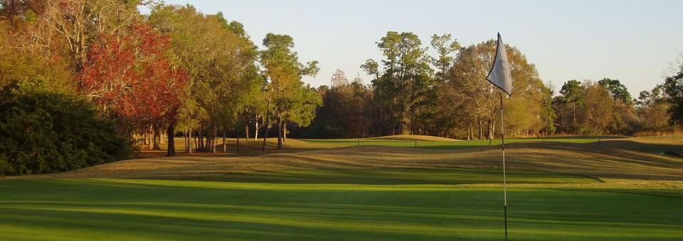 The Eagles Golf Club - Forest - photo 8