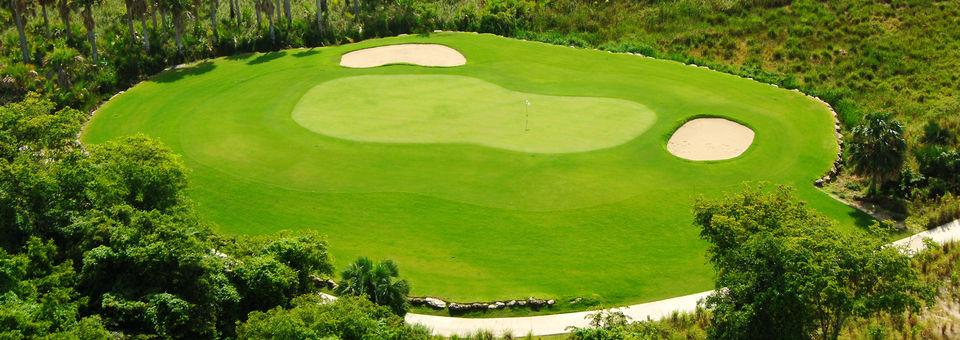 Punta Blanca Golf & Beach Resort - photo 5