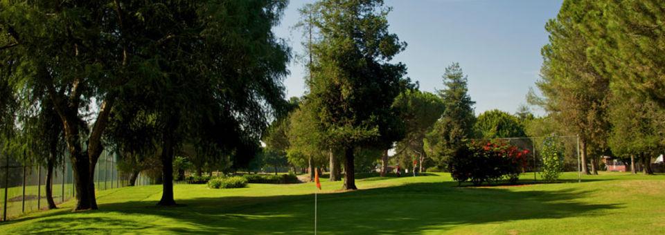 Rancho Park Golf Course - Par 3 - photo 4