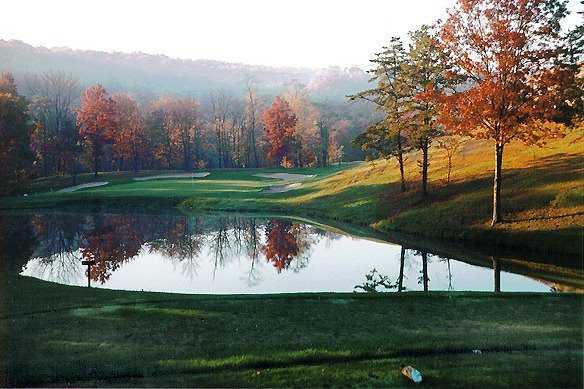 The Woods Resort