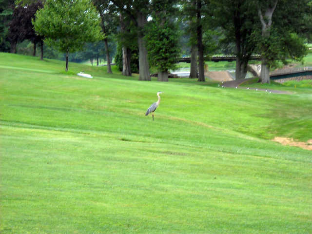Indian Valley Country Club - photo 2