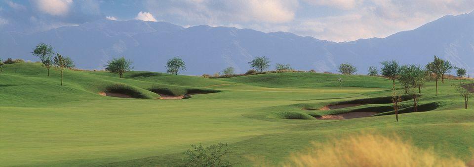 Whirlwind Golf Club- Devil's Claw - photo 5