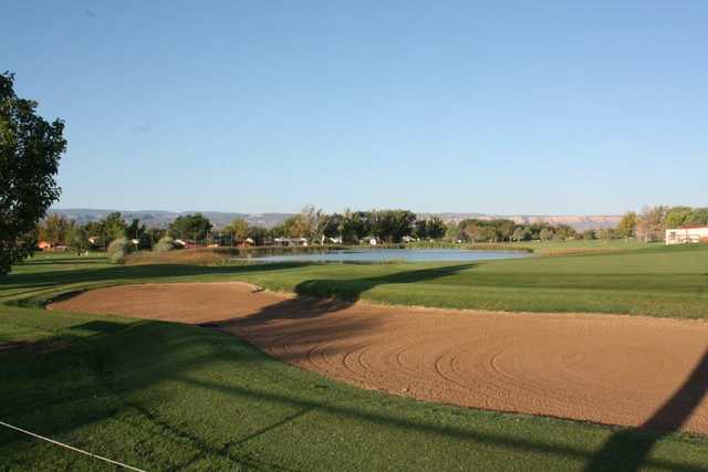 Lincoln Park Golf Course - photo 4