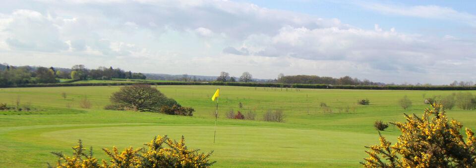 Ash Valley - Little Links - photo 3