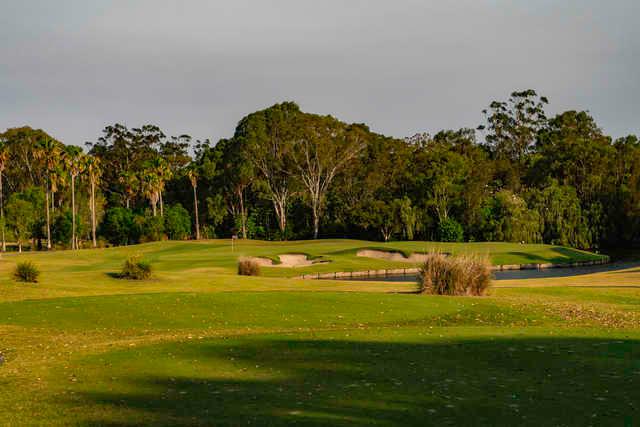 Sanctuary Cove Country Club- The Palms - photo 2