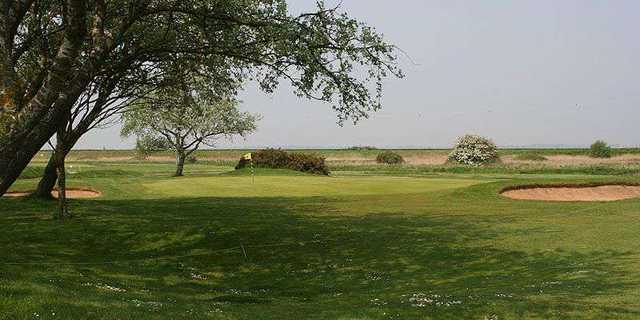 Felixstowe Ferry Golf Club - The Martello Course - photo 2