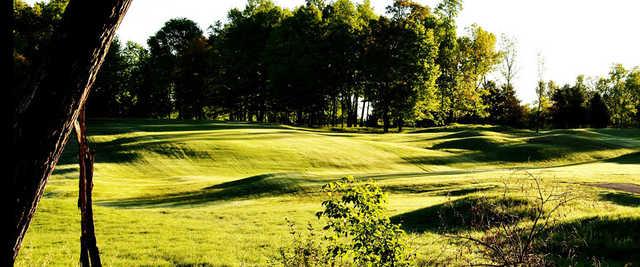Braeside Golf Course - photo 5
