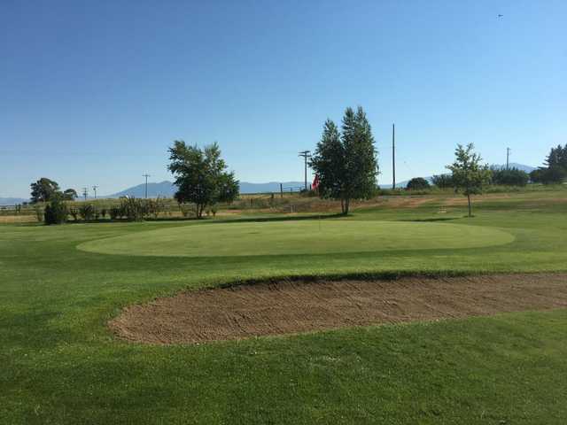 Old Baldy Golf Course - photo 4