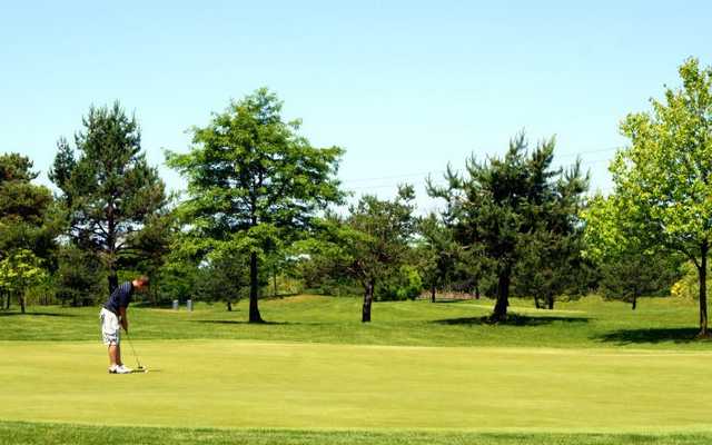 Golden Hawk Golf Club - photo 4