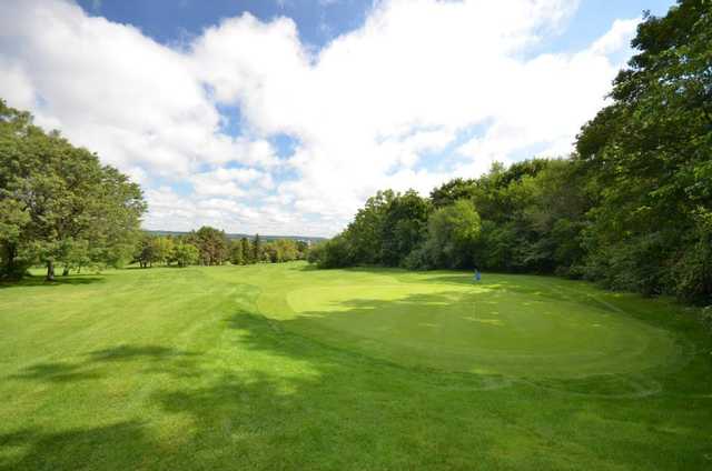 Chedoke - Martin - photo 4
