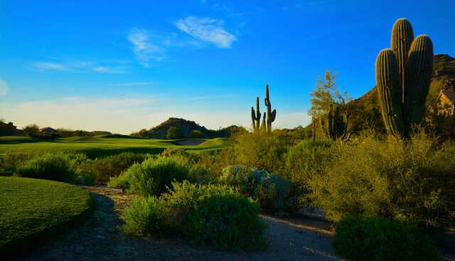 Las Sendas Golf Club - photo 4