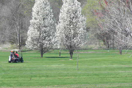 Valley View Golf Course - NE - photo 2
