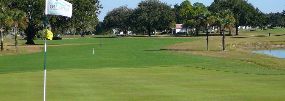 The Links Club at Spruce Creek South - photo 3