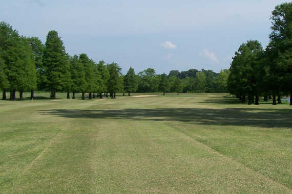 Cypress Tree Golf Courses - photo 2