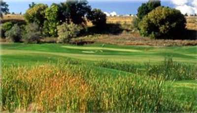 Mulligan's Golf and Game