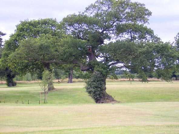 Eaton Golf Club - photo 7