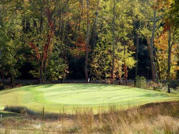 Williams Creek Golf Course - photo 4