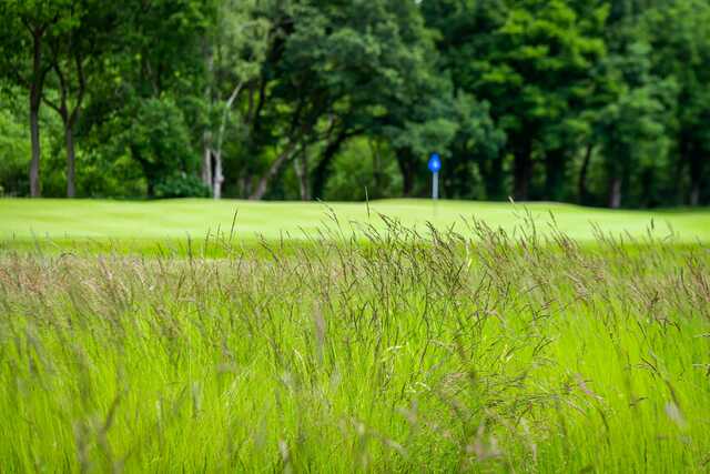Trentham Park Golf Club - photo 6