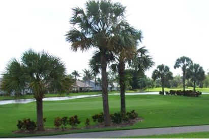 Cross Creek - photo 3