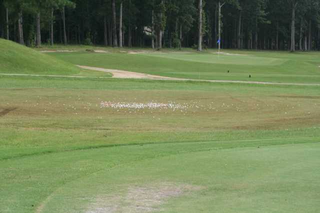 Panther Creek Country Club of Ozark - photo 2