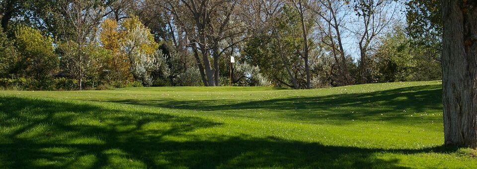 Lake Maloney Golf Course - photo 4
