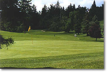 Rose City Golf Course - photo 6