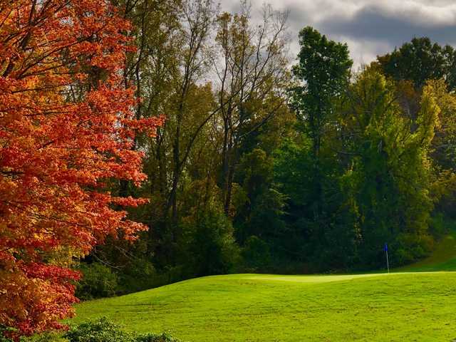 Village Green Golf Course - photo 5