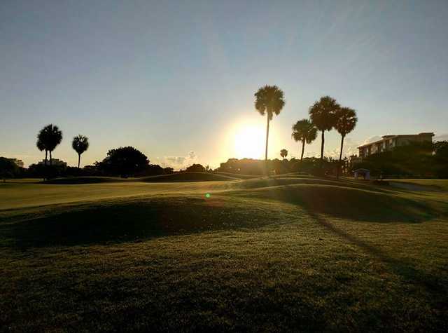 Palms at Palm Aire - photo 2