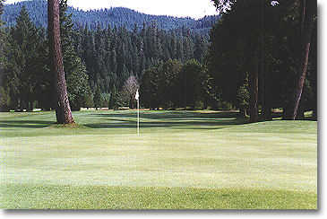 Tokatee Golf Club - photo 8