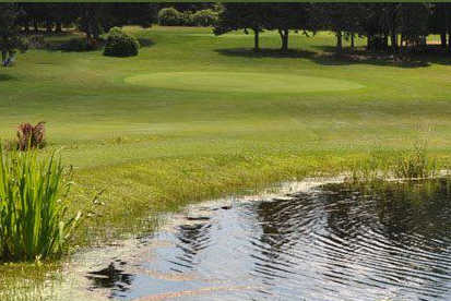 Greenlea Golf Course - photo 5