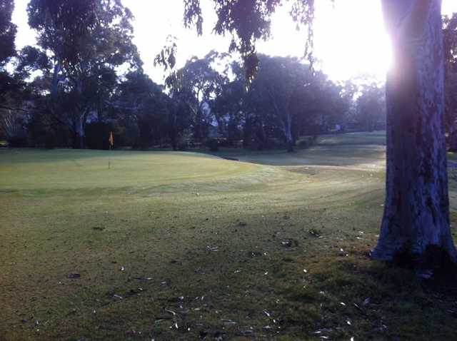 The Vines Golf Club of Reynella - photo 3