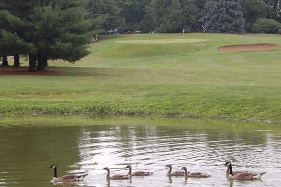Woodlawn Golf Club - photo 3