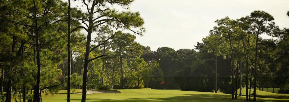 Palmetto-Pine Country Club - photo 4