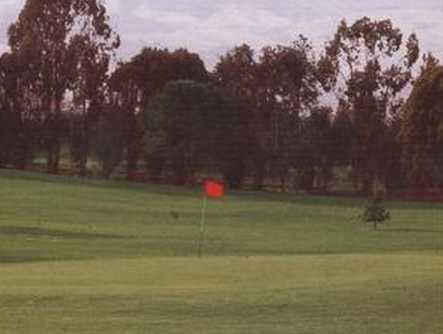 Pine Meadows Public Golf Course - photo 2