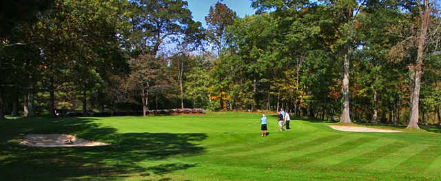 Thorny Lea Golf Club - photo 4