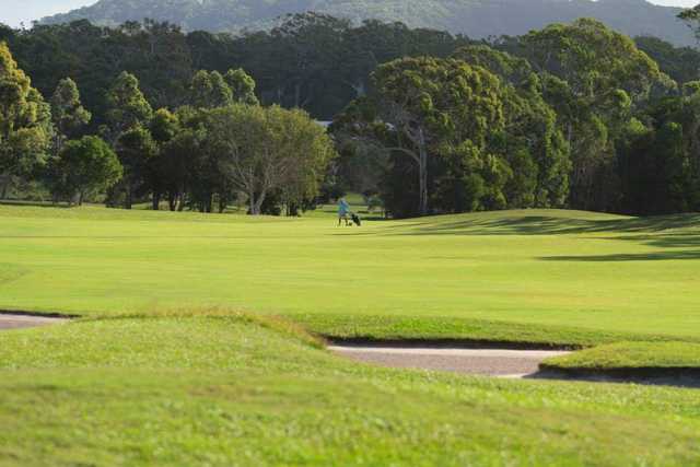 Peregian Springs Golf Club - photo 3