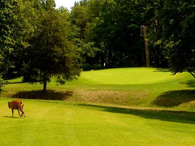 Corunna Hills Golf Course - photo 2