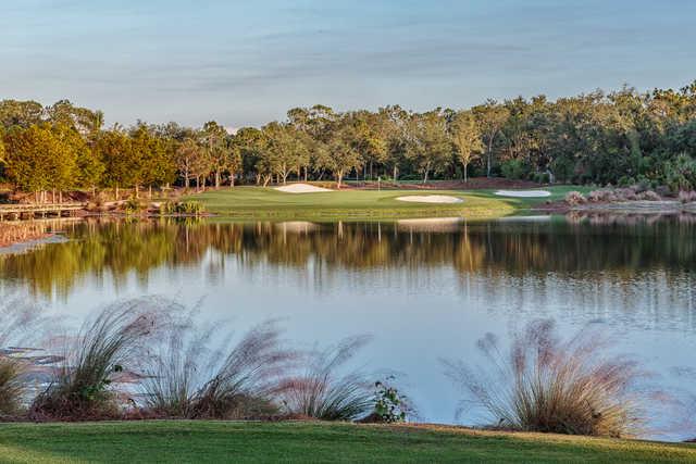Tiburon Golf Club - Black Course - photo 5