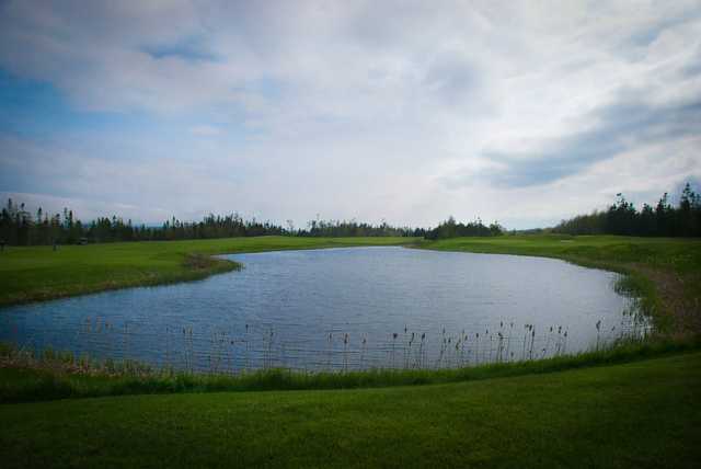 Bell Bay Golf Club - photo 4