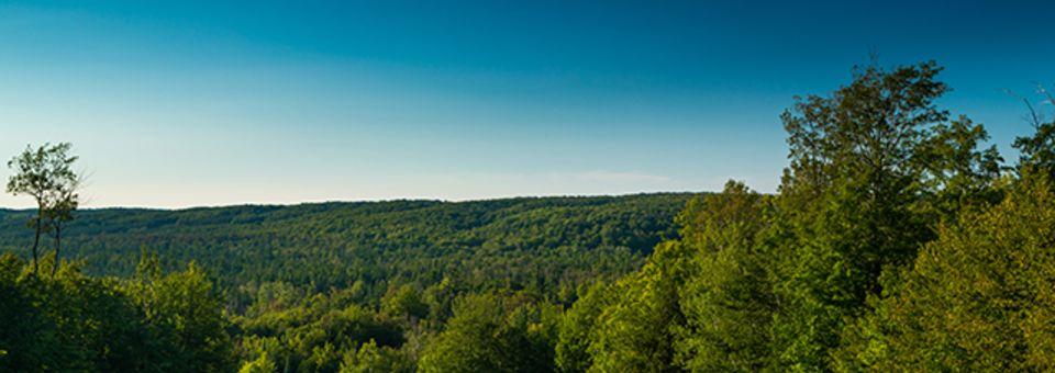 Treetops Resort - Masterpiece Course - photo 5