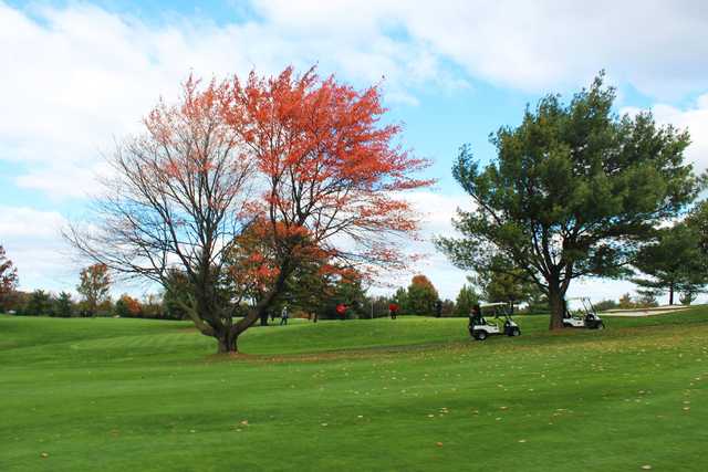 Winchester Country Club - photo 4