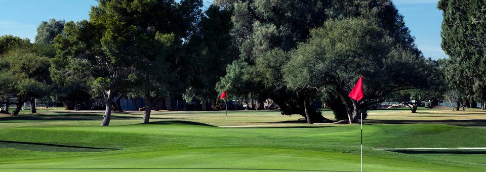 El Rio Golf Club - photo 6